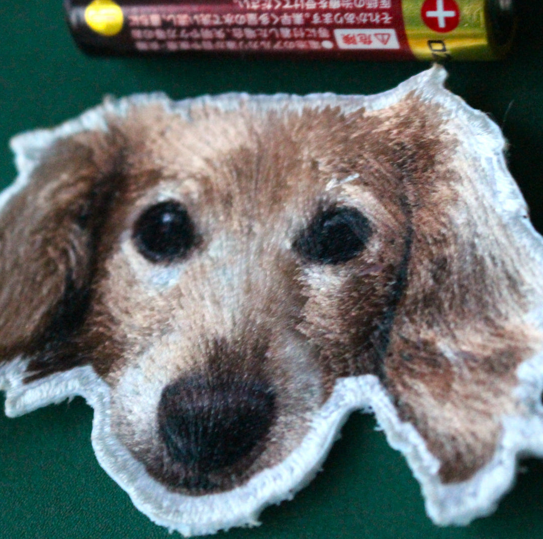 ミニチュアダックスフンドの生刺繍作品、ハルくんの表情を再現