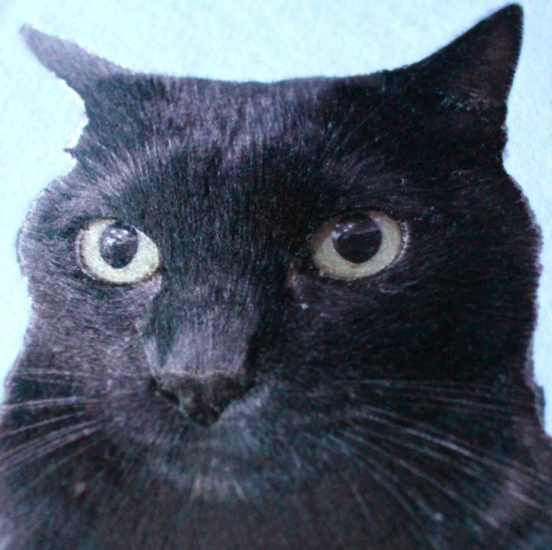 黒猫の生刺繍作品、るなちゃんの表情を再現