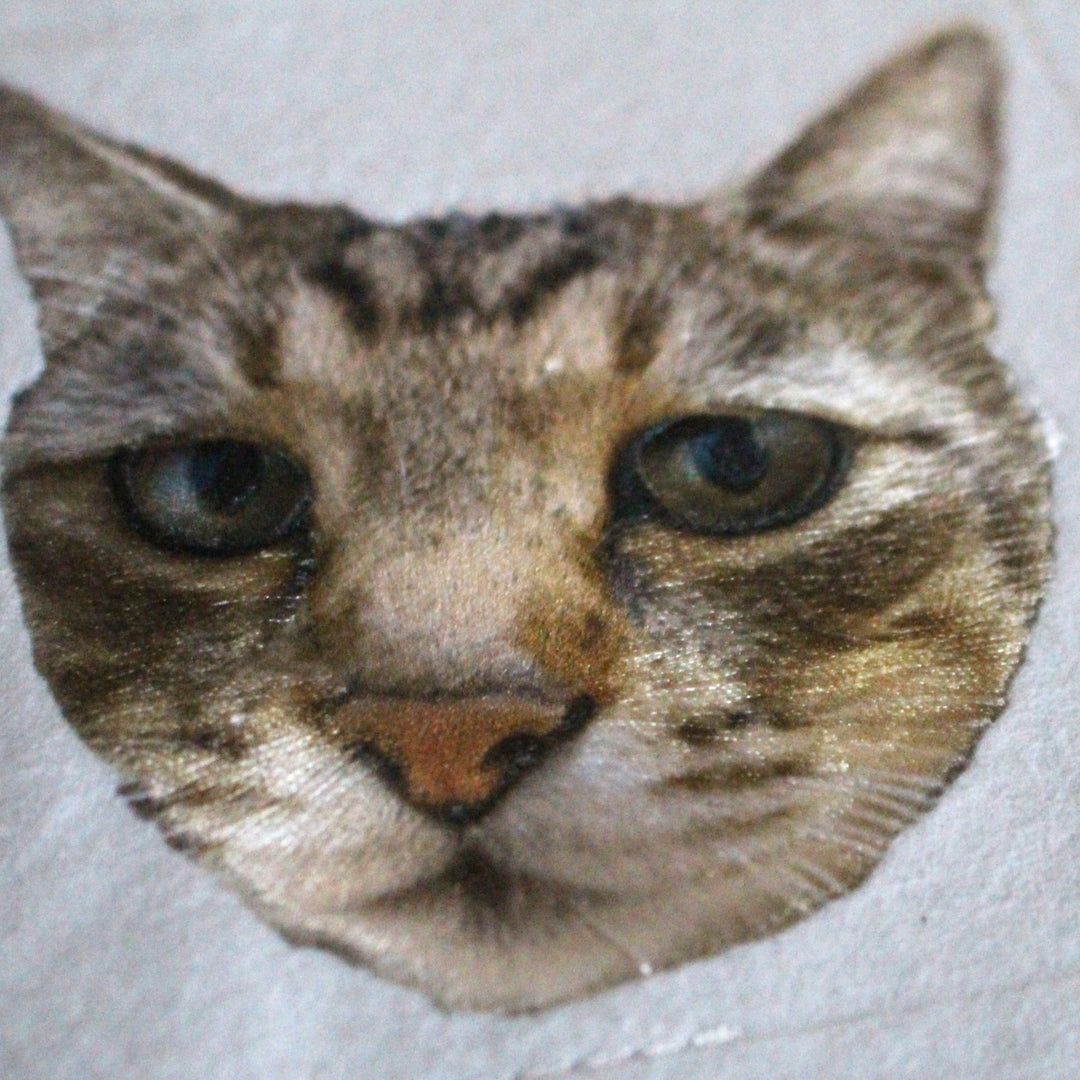 キジトラの生刺繍作品、まさるくんの表情を再現