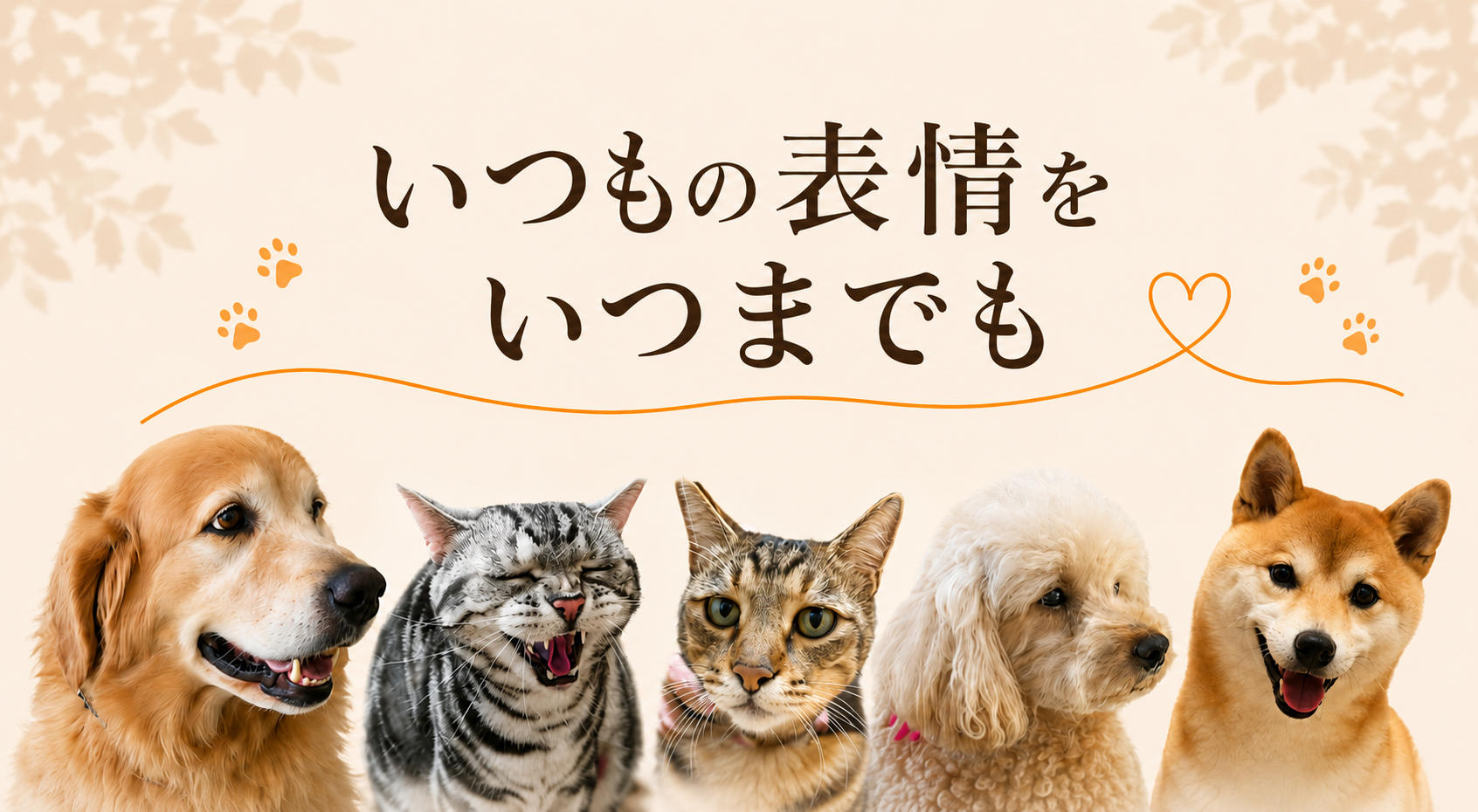 愛犬・愛猫の写真からリアルなオーダーメイド刺繍を制作。大切な「いつもの表情」を繊細な生刺繍で残すサービスを紹介するメインビジュアル。