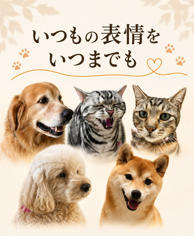 愛犬・愛猫の写真からリアルなオーダーメイド刺繍を制作。大切な「いつもの表情」を繊細な生刺繍で残すサービスを紹介するメインビジュアル。